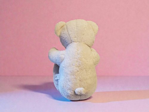 Mackócsalád plüss csomag, 5 db – használt, újszerű állapotban – puha ajándék plüssök gyerekeknek (23–42 cm) (B3)