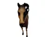 Breyer Traditional buckskin ló gyűjtői figura, 30 cm – használt (E2)