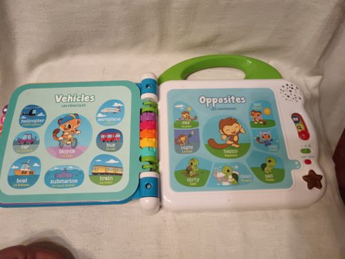 LeapFrog 100 Words Book interaktív tanulókönyv – 23×23 cm – használt, jó állapotban (C6)