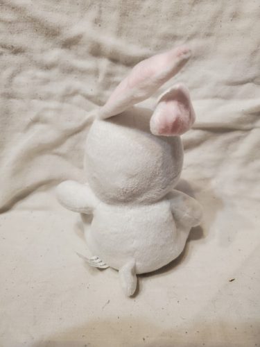 Használt Nagyszemű nyuszi (OP4)