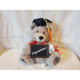 Használt Diplomás maci (a4)