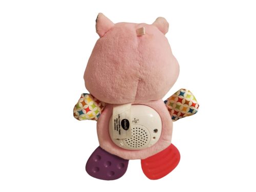 Használt jó állapotú angol nyelvű V-tech zenélő viziló (C4)