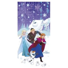 Új Disney Jégvarázs Ajtóposzter (A1)