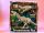 Build Your Own Tyrannosaurus Rex dinoszaurusz építő szett, 33×33 cm – használt, újszerű állapotban, dobozsérült (G2) 