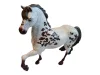 Pettyes Appaloosa lófigura, 17 cm – használt, újszerű (B6)
