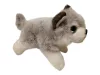 Keel Toys Signature Cuddle Puppies szibériai husky kölyök plüsskutya 20 cm – újszerű (E5)