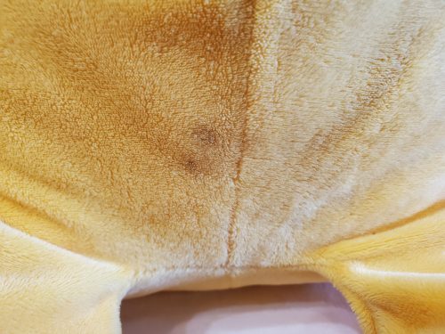 Használt Micimackó plüss (OP3)