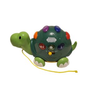 Használt állapotú angol nyelvű zenélő teknős (A5)