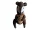 Őszi dekorációs textil/filc mókus figura, 30 cm - új (D8)